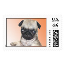 Doc's Buddy with Pug Spirit! postage by SophieClub Doc's Buddy with Pug Spirit! postage