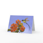 Doctorbird - National bird of Jamaica cards