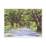 Docville Oaks