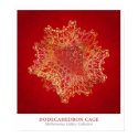 Dodecahedron Cage posters
