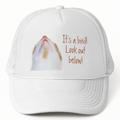 Bird Poop Hat