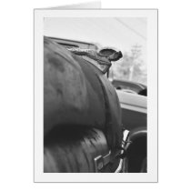 Dodge Ram  cards