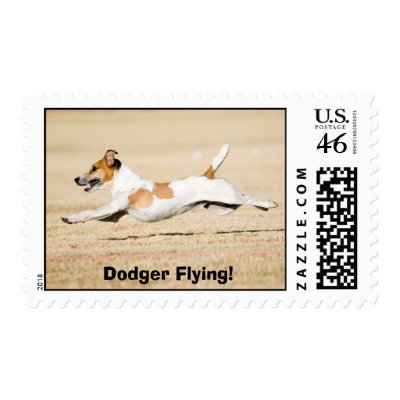  Dodger Flying! Stamps by karinlong