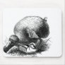 Dodo Bird Mousepad