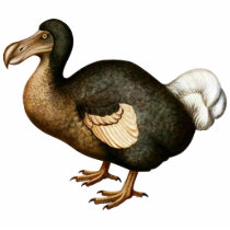 Dodo Cutout Magnet/Sculpture Photo Sculpture