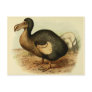dodo, bird, extinct, recently, cryptids,