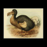 Dodo Postcards