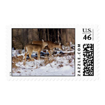 Doe & Fawn Postage