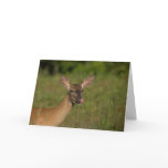 Doe Licking Lips Greeting Card