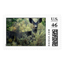Doe postage