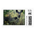 Doe postage