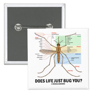 Does Life Just Bug You? (Mosquito Anatomy) Buttons