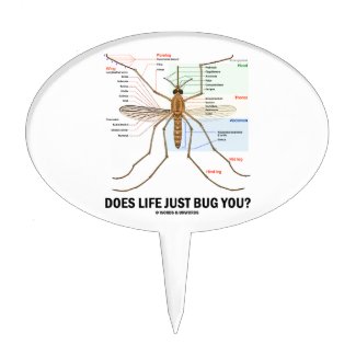 Does Life Just Bug You? (Mosquito Anatomy) Cake Pick