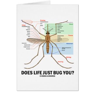 Does Life Just Bug You? (Mosquito Anatomy) Card
