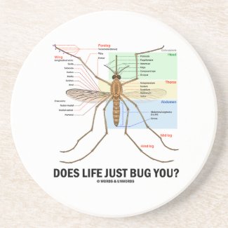 Does Life Just Bug You? (Mosquito Anatomy) Coasters