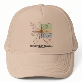 Does Life Just Bug You? (Mosquito Anatomy) hat
