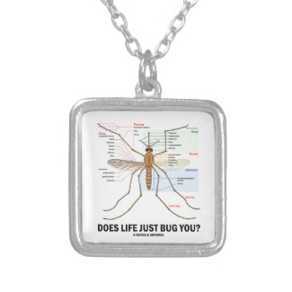 Does Life Just Bug You? (Mosquito Anatomy) Pendants