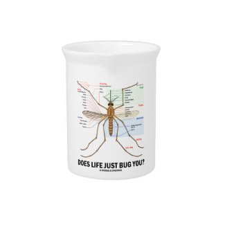 Does Life Just Bug You? (Mosquito Anatomy) Beverage Pitchers