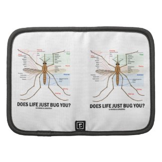 Does Life Just Bug You? (Mosquito Anatomy) Organizers