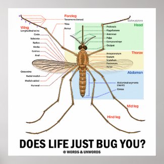 Does Life Just Bug You? (Mosquito Anatomy) Posters