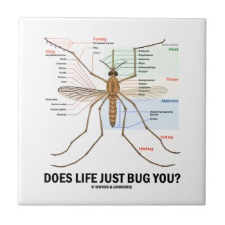 Does Life Just Bug You? (Mosquito Anatomy) Tiles