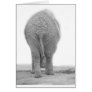 Does my bum look big cards