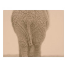 does my bum look big sepia custom announcements