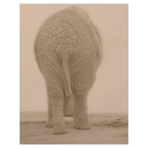 does my bum look big sepia flyers