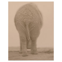 does my bum look big sepia letterhead