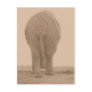 does my bum look big sepia post card