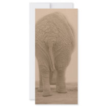 does my bum look big sepia rack card design