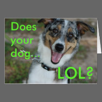 Does your dog... LOL? cards