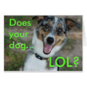 Does your dog... LOL? cards by smilodonart Does your dog... LOL? cards