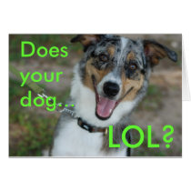 Does your dog... LOL? cards
