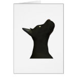 Doberman Face cards by OneArmedGraphics