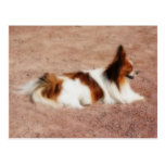 Dog #1 Postcard