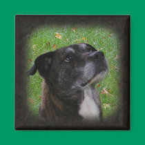 Dog 206 ~ mag magnets