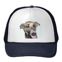 Dog 2, Hat