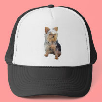 Dog 4 A, Hat by dtp455 Dog 4 A, Hat