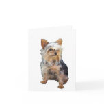 Dog 4 A   Note Card