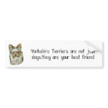 Dog 4, B, Yorkshire Terrier Bumper Sticker bumper stickers