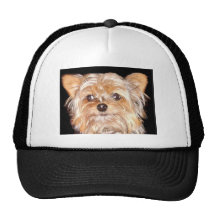 Dog 4, Hat