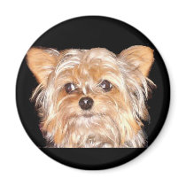Dog 4, Magnet