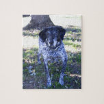Dog 5 Puzzle puzzles