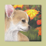 Dog 84 Magnet magnets