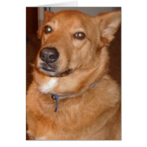 Dog [A poem for you. cards by tomtroxell Dog [A poem for you. cards