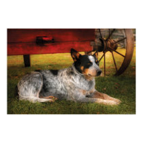 Dog - Always Faithful posters