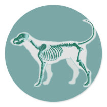 DOG ANATOMY X-RAY BONES stickers
