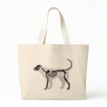 DOG ANATOMY X-RAY VET BAG