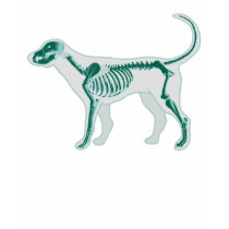 DOG ANATOMY X-RAY VET BONES t-shirts by Sofia_Youshi DOG ANATOMY X-RAY VET BONES t-shirts